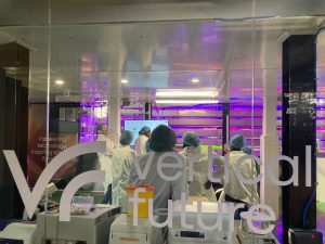Virtual Future &#8211; Deptford